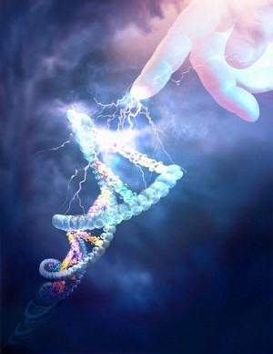bioetica